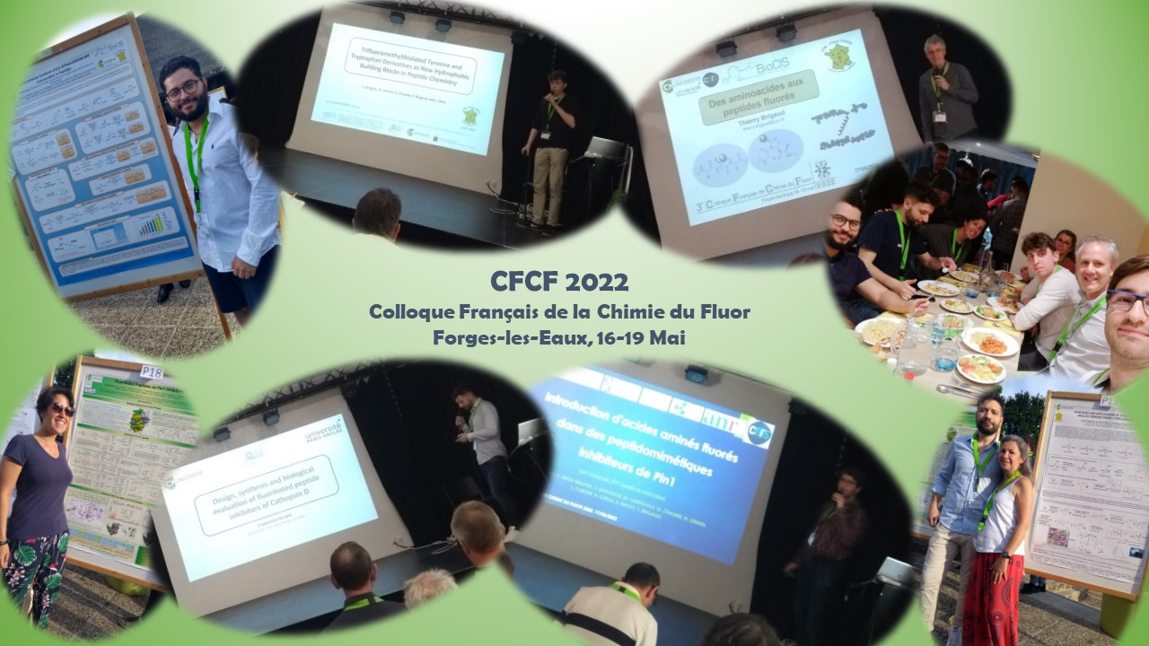 The CY-BioCIS team was at CFCF 2022