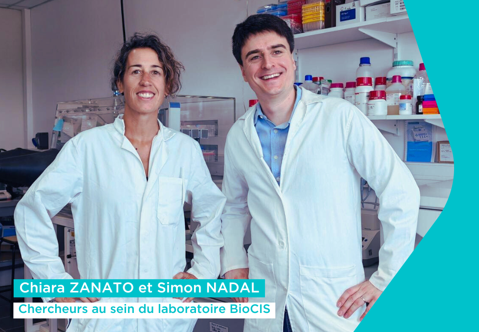 Septembre Rouge : sensibiliser et agir contre les cancers du sang